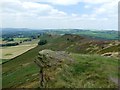 SJ9865 : Looking along the ridge by Graham Hogg