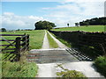 SD7167 : Cattle grid on the Clapham Woods Farm driveway, Clapham by Humphrey Bolton