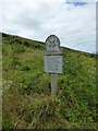 TV5695 : National Trust sign - The Lookout by PAUL FARMER