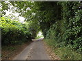 TM0175 : Calkewood Lane, Wattisfield by Geographer