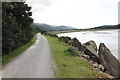 SH6415 : The Mawddach Trail by Jeff Buck