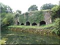 ST0718 : The Waytown Lime Kilns by the Grand Western Canal by David Smith