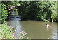 SY4793 : Boys Playing in the River Asker by Nigel Mykura