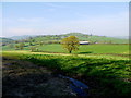 SY2093 : Countryside near Southleigh by Nigel Mykura