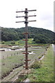 SH6516 : Old Telegraph Pole beside the Mawddach Trail by Jeff Buck