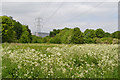 SP3880 : Power lines heading to or from University Hospital, Walsgrave, Coventry by Robin Stott