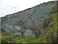 SC2384 : Face of a disused quarry, Peel Hill by Christine Johnstone