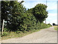 TL9568 : Footpath to Church View by Geographer