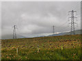 NY5506 : Electricity transmission poles by Mick Garratt