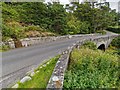 NC4900 : Invernauld Bridge over the Allt Mòr by valenta