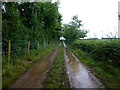 H4770 : Muddy lane, Galbally by Kenneth  Allen