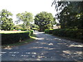 TM1485 : Rectory Road, Gissing by Geographer