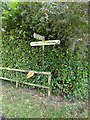 TM1485 : Roadsign on Burston Road by Geographer