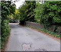 SO8402 : Road bridge over Nailsworth Stream, Woodchester by Jaggery