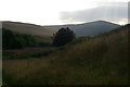 NY4996 : Looking up the valley of Hermitage Water, from the castle by Christopher Hilton