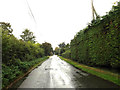 TL9676 : Bardwell Road, Barningham by Geographer