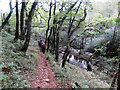  : Ger Craig yr Aber / Near Craig yr Aber by Alan Richards