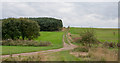 NZ3430 : Dirt road through golf course by Trevor Littlewood