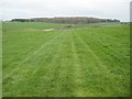 SY9578 : Right of way crossing farmland, Kingston by Philip Halling