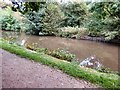 SJ9493 : Peak Forest Canal by Gerald England