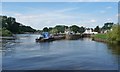 SE5944 : Workboat entering Naburn Lock on the River Ouse by Christine Johnstone