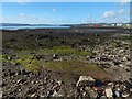 NS2982 : Old Red Sandstone on shore at Helensburgh by Lairich Rig