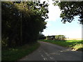 TM1591 : Low Common Road, Aslacton by Geographer