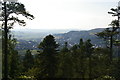 NU0701 : View up the valley towards Rothbury, Cragside estate by Christopher Hilton