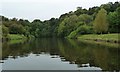 SJ5676 : River Weaver, looking downstream by Christine Johnstone