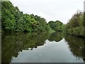 SJ5576 : The River Weaver near Hunter's Wood by Christine Johnstone