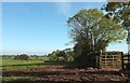 SX8757 : Field boundary by Waddeton Road by Derek Harper