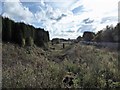 SJ8451 : Trackbed of former railway line south of Kidsgrove by Jonathan Hutchins