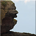 NT9464 : A rock face at Eyemouth Point by Walter Baxter