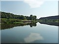 SJ6567 : The navigable River Weaver, near Winsford by Christine Johnstone