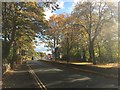 SJ8544 : Newcastle-under-Lyme: Newcastle Road by Jonathan Hutchins