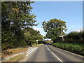 TM2584 : Redenhall Road, Redenhall by Geographer