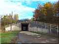 NZ3456 : Underpass beneath the A19 near South Hylton by Malc McDonald