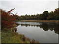 SU6604 : Autumn pond by Jonathan Thacker