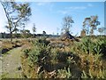 SY9691 : East Holton, Iron Age hut by Mike Faherty