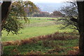 ST2390 : Rough pasture above Risca by M J Roscoe