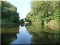 SJ6566 : The River Weaver, between Winsford's two bridges by Christine Johnstone