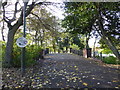 SJ8846 : Hanley Park: bridge over Caldon Canal by Jonathan Hutchins