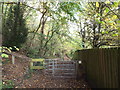 NZ3254 : Gate on the River Wear Trail near Washington by Malc McDonald