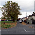 SO8316 : Fallen leaves, Lannett Road, Gloucester by Jaggery