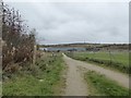 SJ8146 : Silverdale Country Park: path by football pitch by Jonathan Hutchins