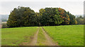 SO3011 : Track across field north of Llanellen by Trevor Littlewood