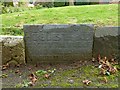 SK7624 : Belvoir Angel headstone, Scalford churchyard by Alan Murray-Rust