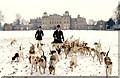 ST8083 : Beaufort Hounds, Badminton, Gloucestershire 1994 by Ray Bird