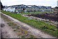 SU8266 : Greenhouses at Gray's Farm by Roger Templeman