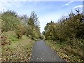 SJ8450 : Bradwell Woods Greenway by Jonathan Hutchins